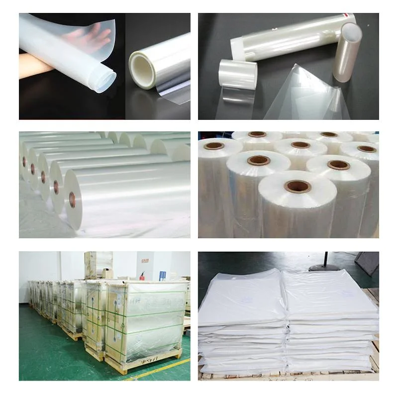 A3/A4 75 Micron 60 Cm Cold Peel Printable Clear Dtf Transfer Printing Pet Film Roll for White Ink Shaker Powder Printer