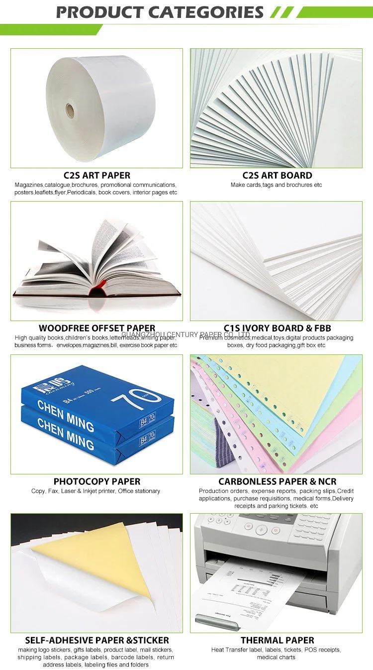 Digital Printing Compatible Printing Coated Fbb/Ivory Board Paper