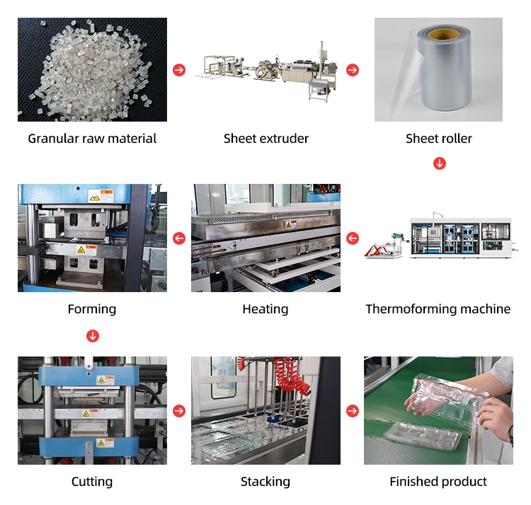 Bagasse Biodegradable Plastic Lunch Box Heat Press Forming Making Machine