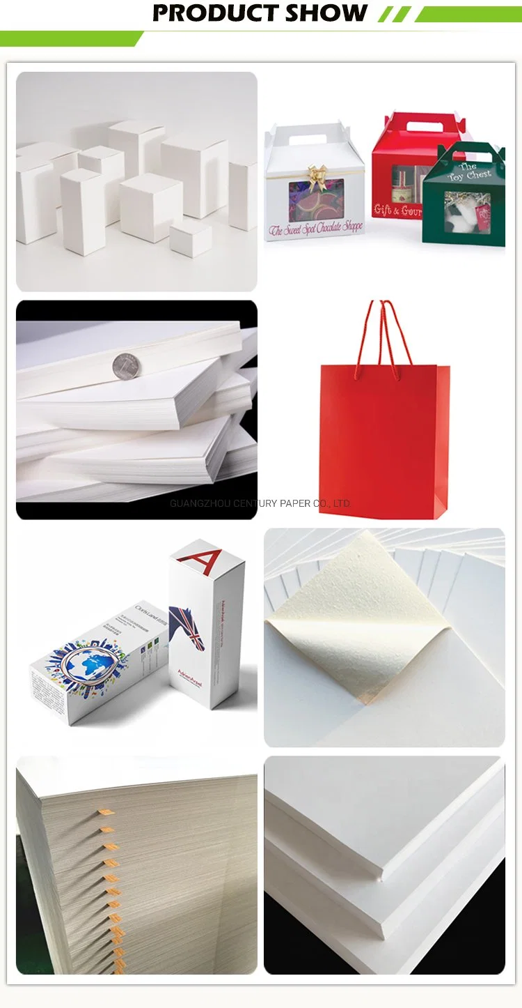 Digital Printing Compatible Printing Coated Fbb/Ivory Board Paper