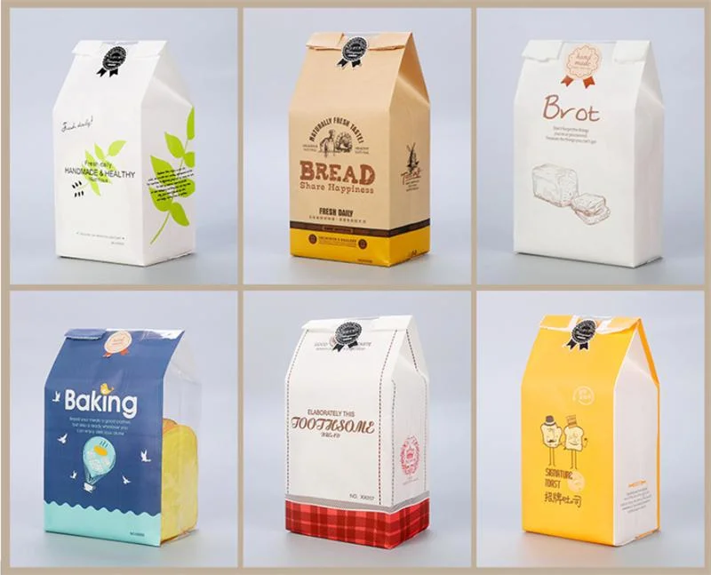 Canvas &amp; Rice Bag Paper Bag Logo Printing Machine Printer