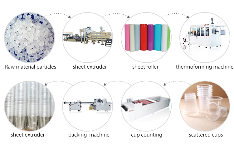 Cheap Sheet Extruder Machine Line/Extrusion Blister Packaging Stationery Printing Fruit Tray