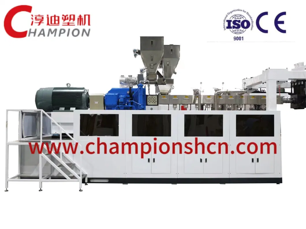 CHAMPION High Quality Plastic Sheet PET/PLA extrusion machine line Factory Direct Supplier in China Customized Capacity