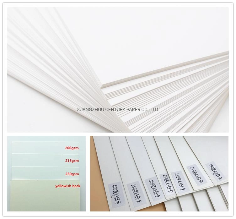 Digital Printing Compatible Printing Coated Fbb/Ivory Board Paper