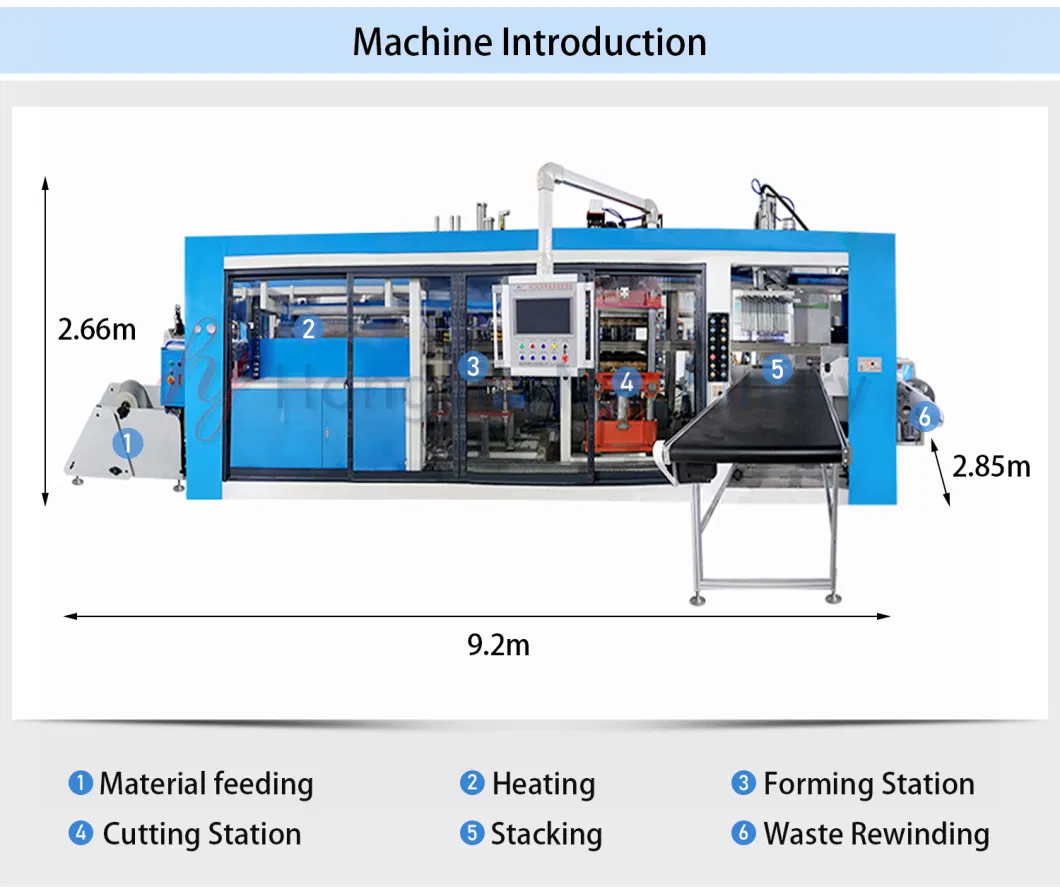 Plastic Pet Egg Tray Food Container Making Thick Sheet Vacuum Forming Machine for Printing Sheet