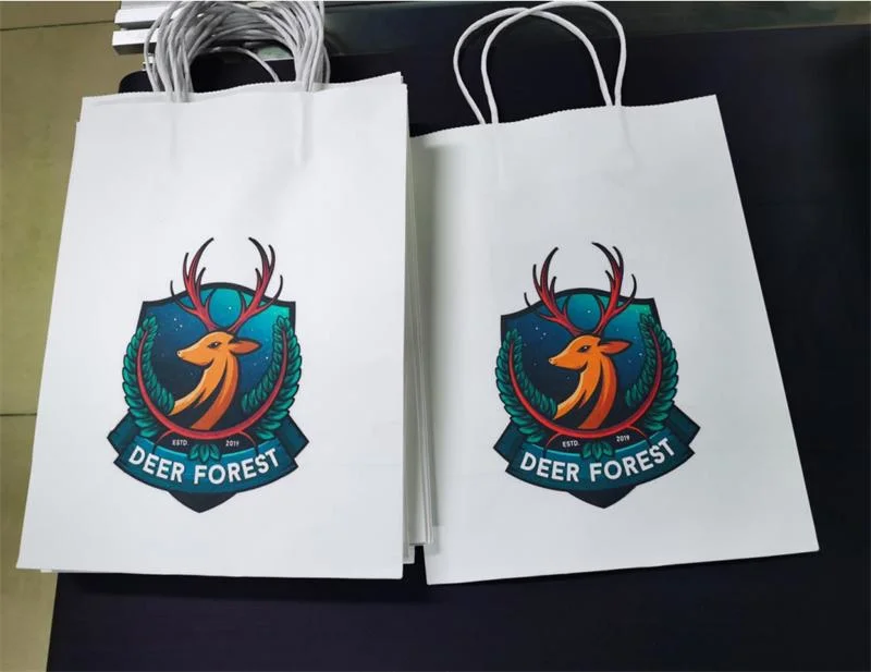 Canvas &amp; Rice Bag Paper Bag Logo Printing Machine Printer