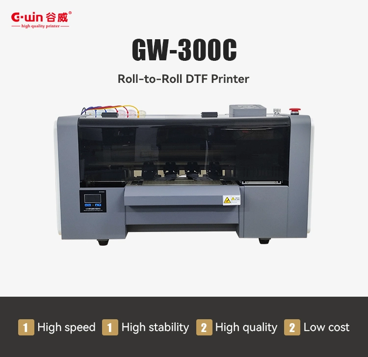 Digital Heat Transfer Cheap Price Impresora Dtf Inkjet T-Shirt Printing Machine