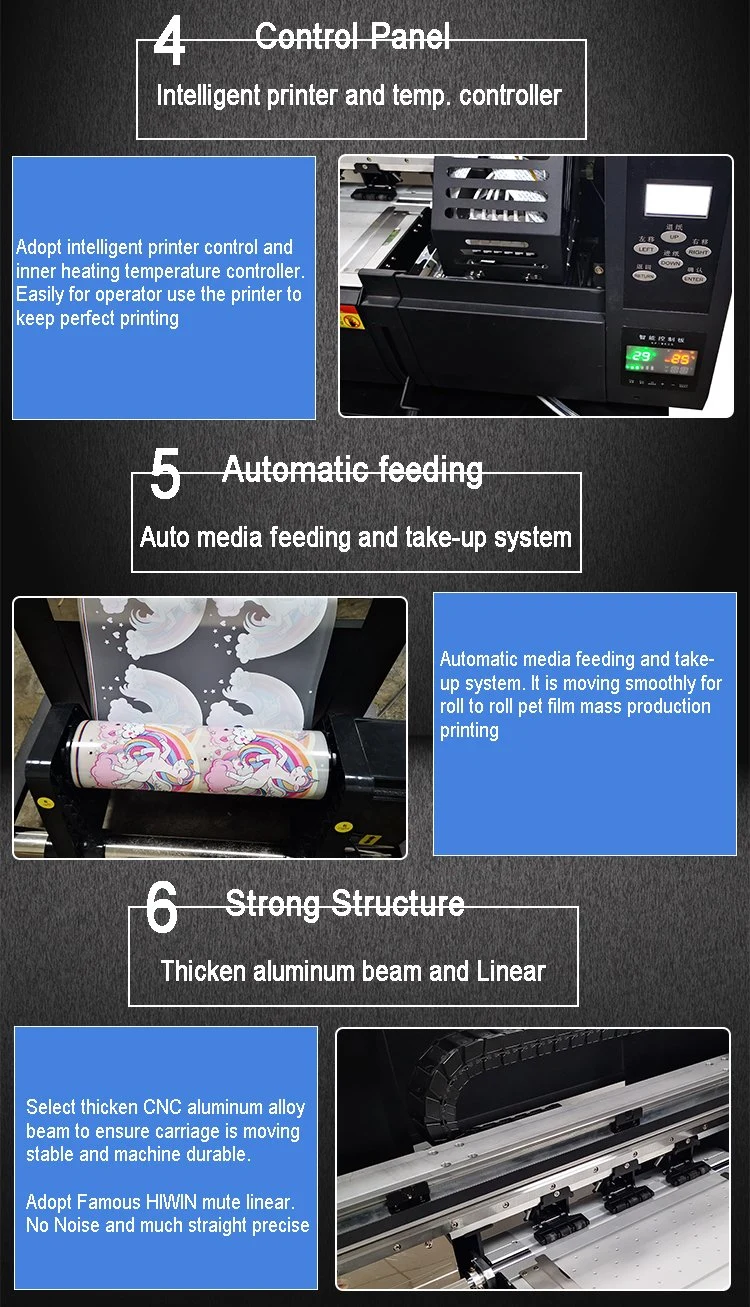 Roll to Roll Printer Dtf Printer A3 Auto Powder Printing Machines