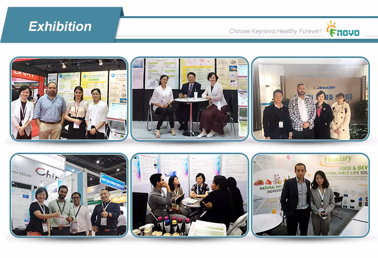 Top Quality TiO2 Titanium Dioxide Powder for Ink Pigment CAS 13463-67-7