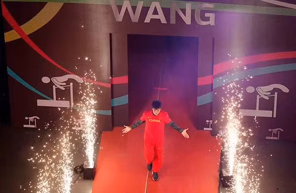 790W Stage Light Mini Spark Machine Fountain with Wireless Remote for DJ Wedding Fireworks