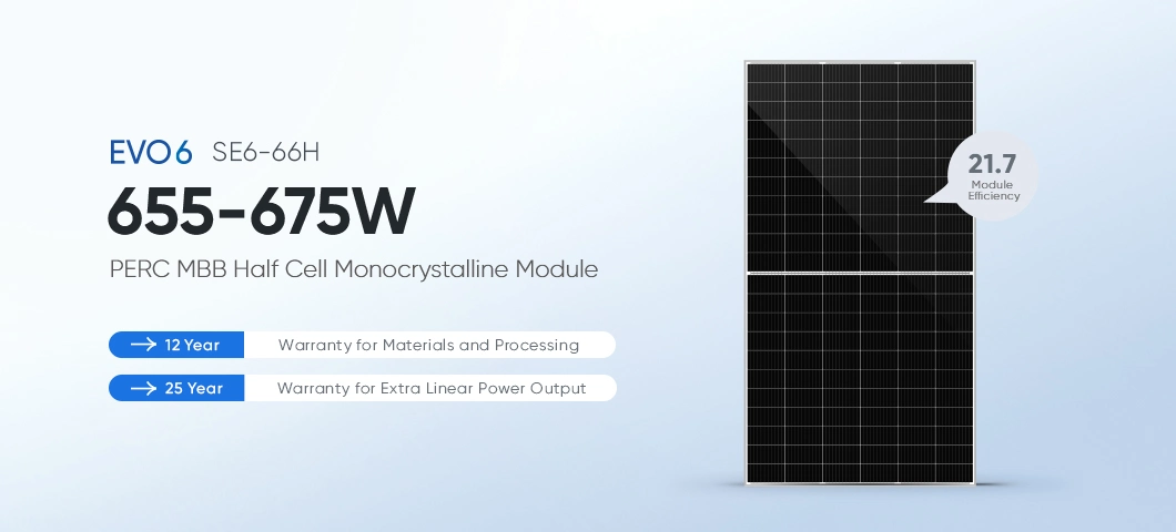 Sunevo Brand High Efficiency 700 Watt Monocrystalline Solar Panel with 156 Cell