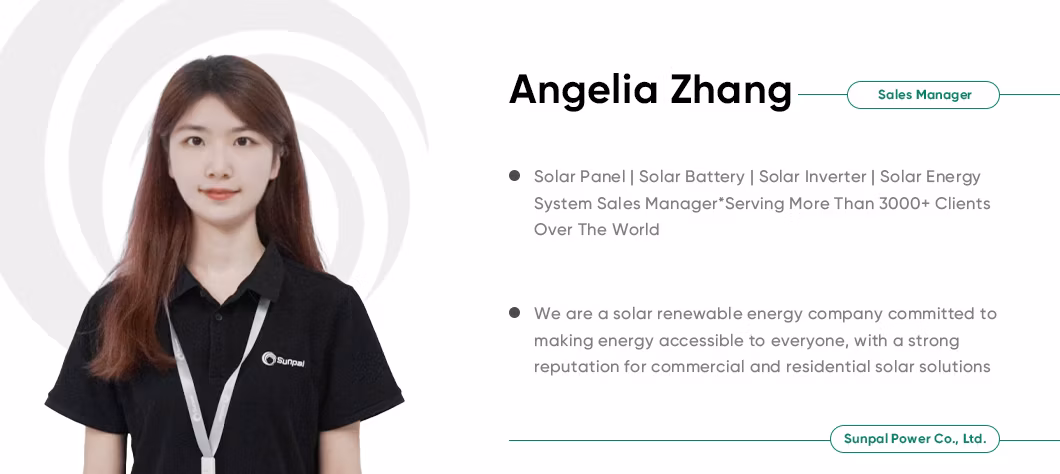 Sunpal Mono Bifacial Solar Panel 610W 620W 630W N Type Topcon Solar PV Modules Manufacturers