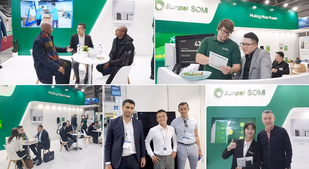 Sunpal Mono Bifacial Solar Panel 610W 620W 630W N Type Topcon Solar PV Modules Manufacturers