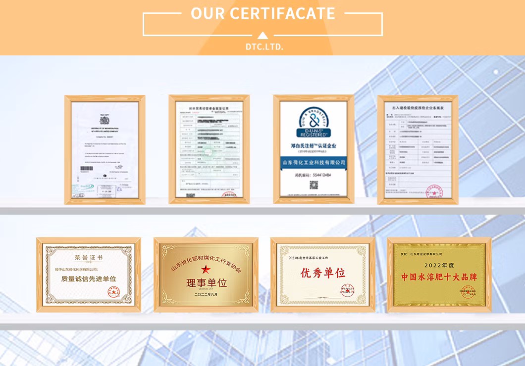 Organic Agriculture Calcium Ammonium Nitrate Fertilizer for Plants Granular ODM Can