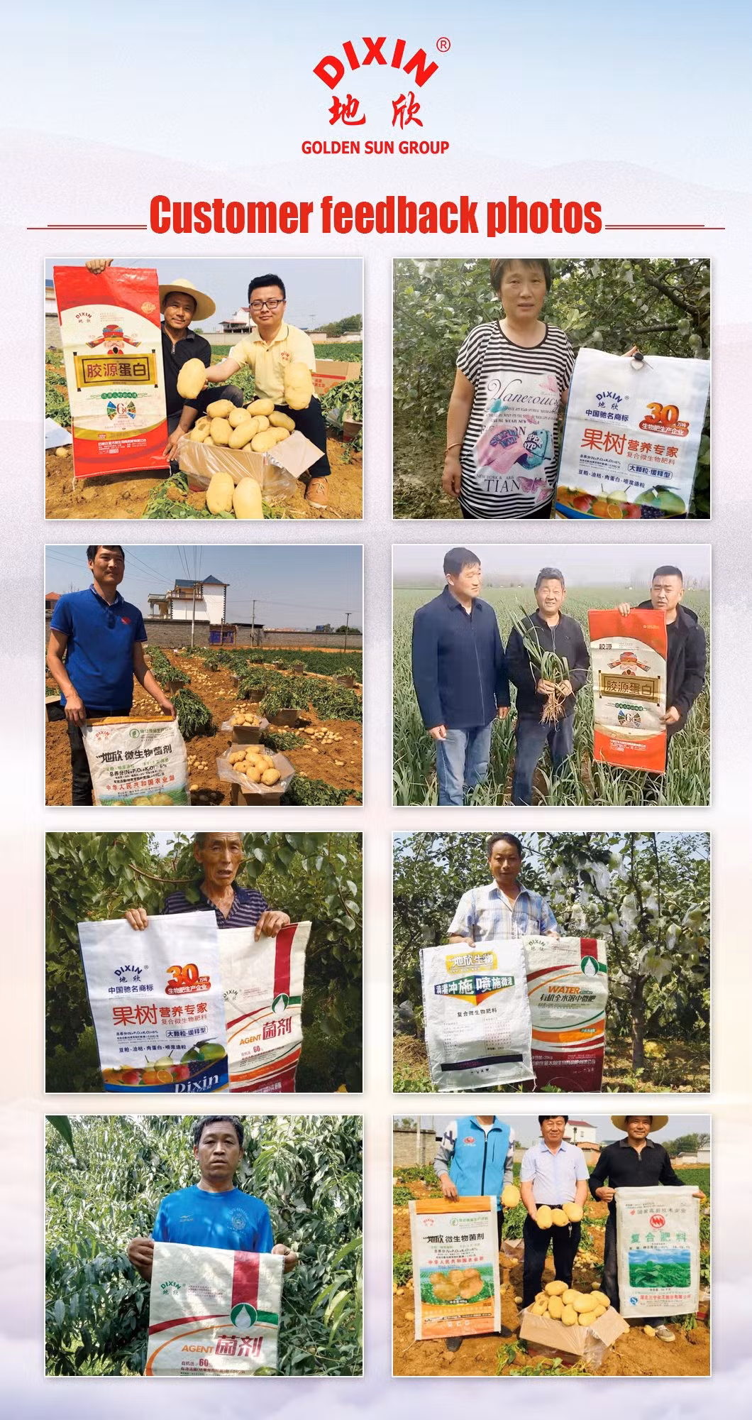 NPK 13.13.13+Te for Plants Custom Packing Made in Vietnam Manufacturer Compound Fertilizer Compound Fertilizer