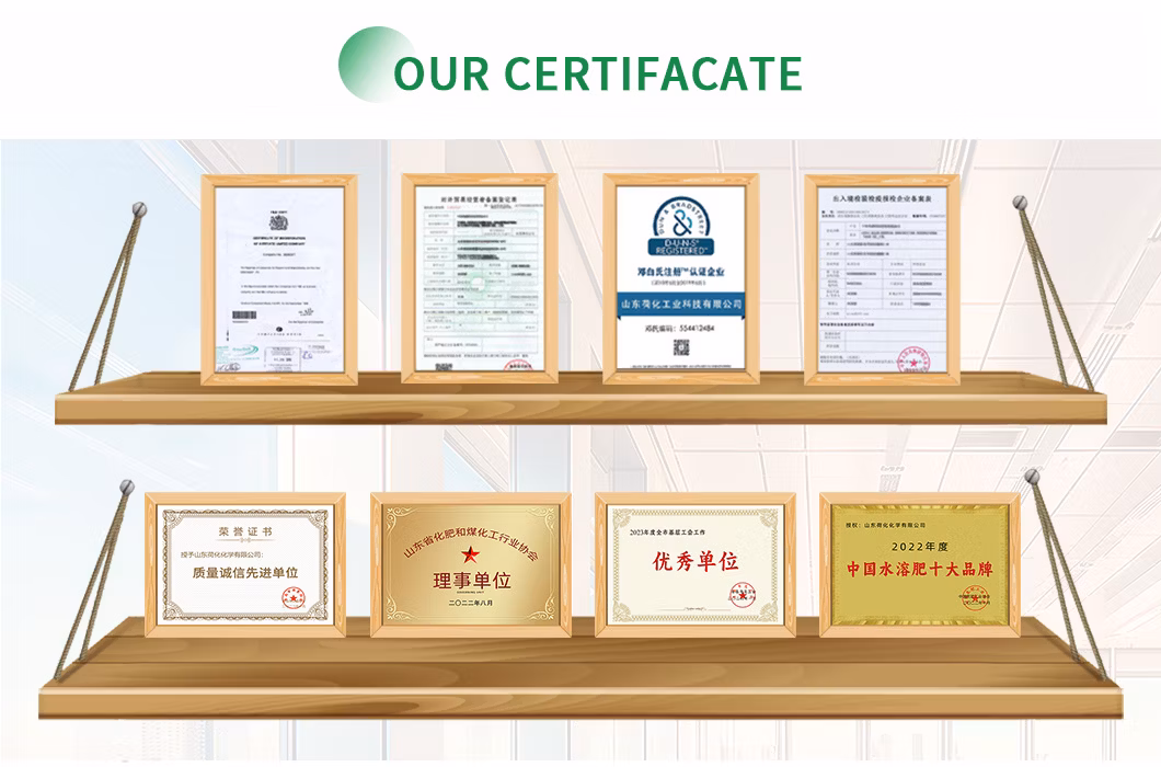 Best Price ISO Certified Granular Calcium Ammonium Nitrate Fertilizer