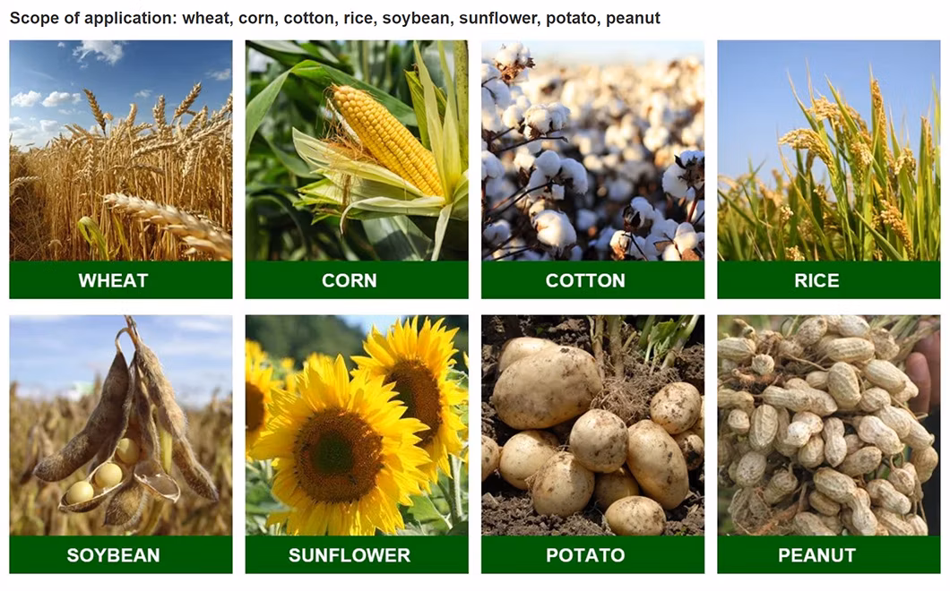 Best Price ISO Certified Granular Calcium Ammonium Nitrate Fertilizer