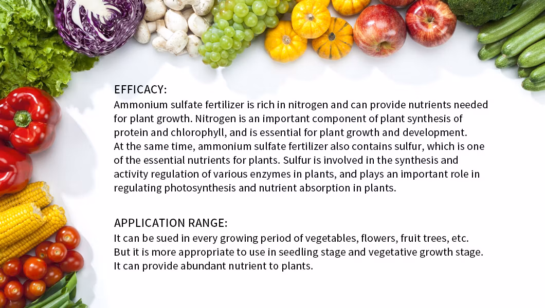Organic Agriculture Calcium Ammonium Nitrate Fertilizer for Plants Granular ODM Can