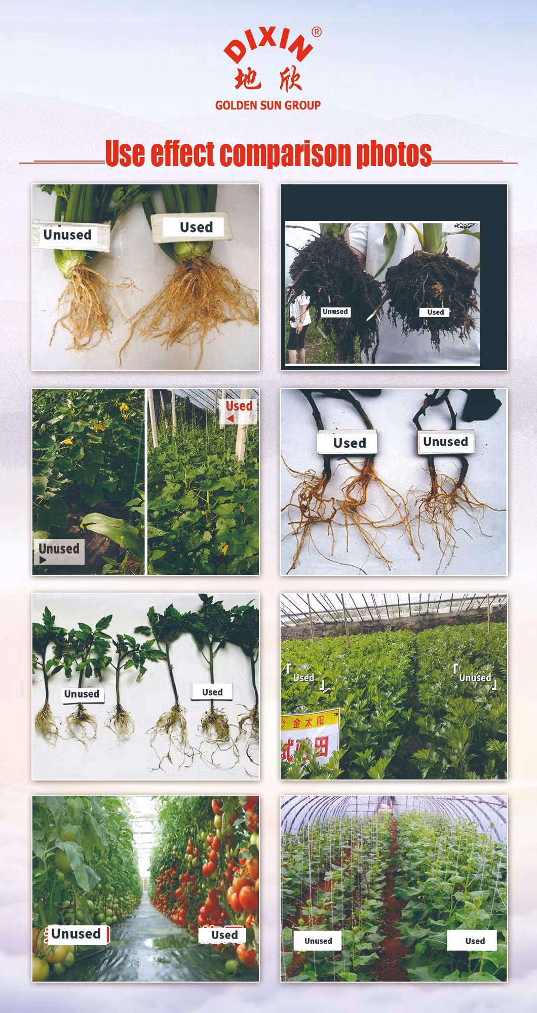 NPK 13.13.13+Te for Plants Custom Packing Made in Vietnam Manufacturer Compound Fertilizer Compound Fertilizer