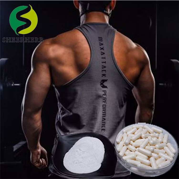 ISO Certification CAS 5589-96-8 Bcaa Amino Acid 2: 1: 1 Pure Bcaa Supplement Powder High Quality Bcaa Sport Nutrition for Drink with Free Sample