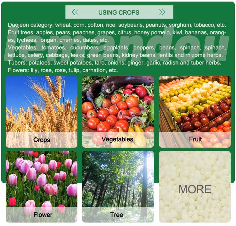 White Granular Chemical Fertilizer Calcium Ammonium Nitrate for Agriculture