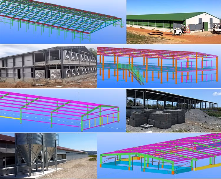 Poultry Broiler Chicken House Farming Design in Ghana for Layer Chicken