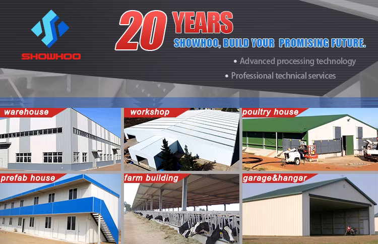 Poultry Broiler Chicken House Farming Design in Ghana for Layer Chicken