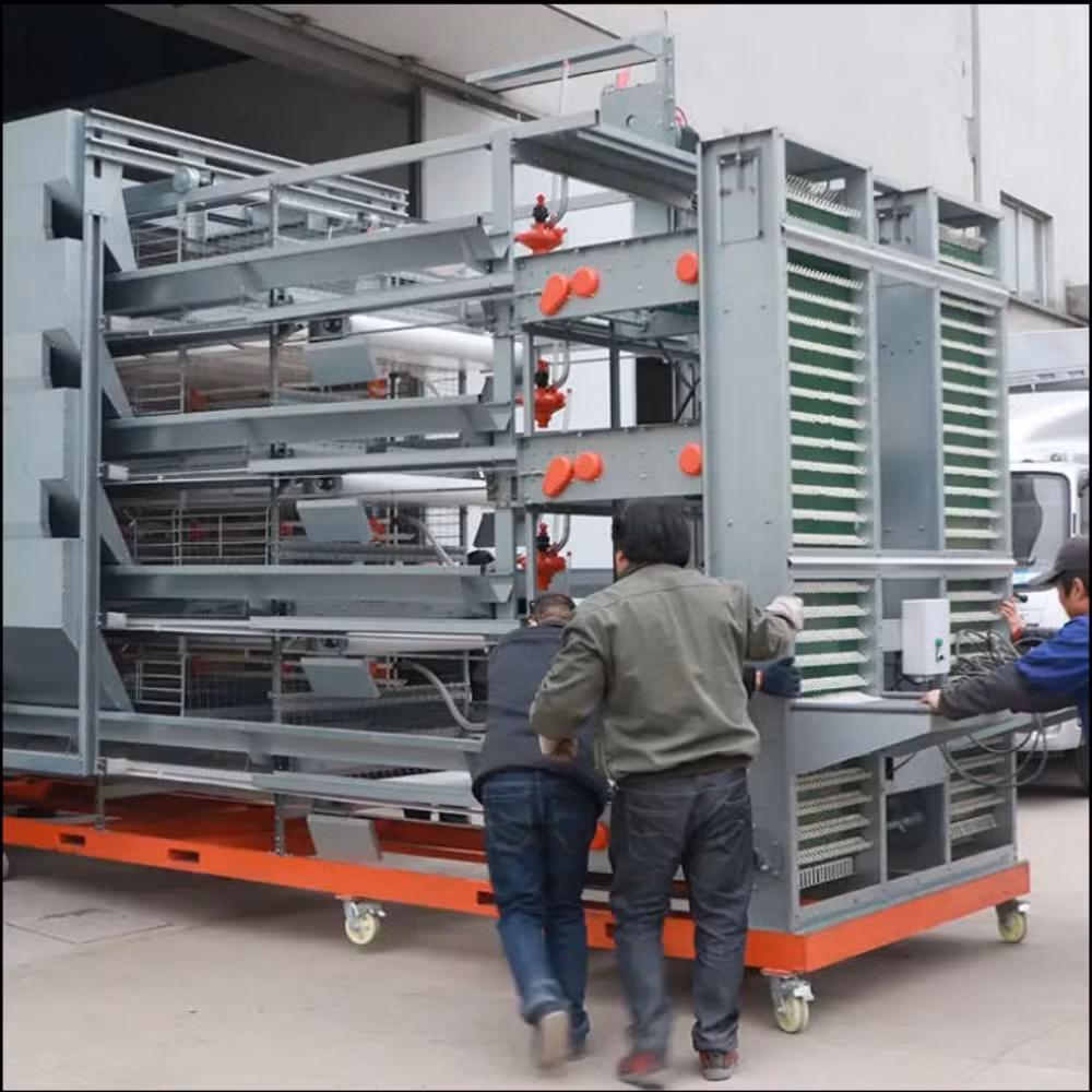High Quanlity Completely Automatic Poultry Farming Equipment Customizable H Type Egg Chicken Layer Broiler Hen Chicken Animal Cage