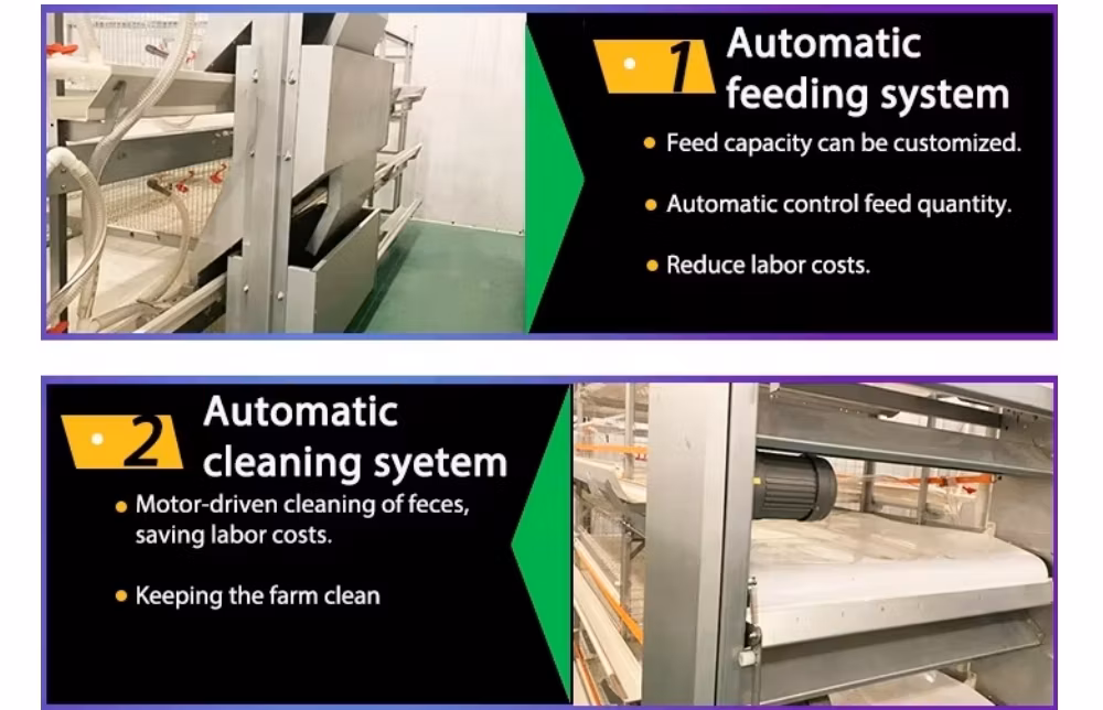 High Quanlity Completely Automatic Poultry Farming Equipment Customizable H Type Egg Chicken Layer Broiler Hen Chicken Animal Cage