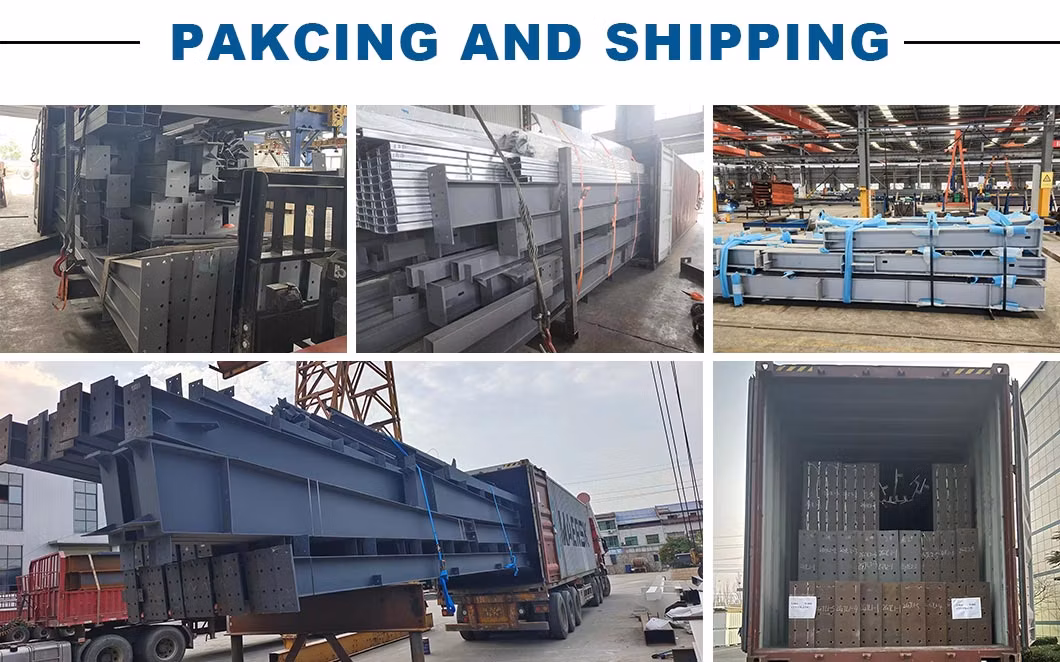 Prefabricated Poultry House Light Steel Structure Customized Poultry Farm Chicken House Coop