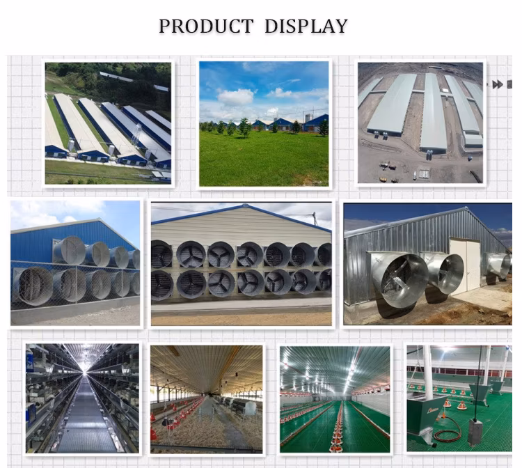 Prefabricated Poultry House Light Steel Structure Customized Poultry Farm Chicken House Coop