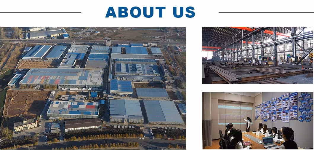 Prefabricated Poultry House Light Steel Structure Customized Poultry Farm Chicken House Coop