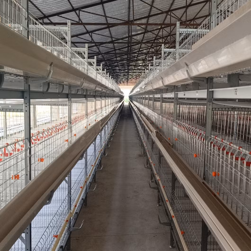 Customized Wholesale Galvanized Steel Wire Stainless Steel 3/4/5 Layer Chicken Duck Cage Farm Poultry Equipment