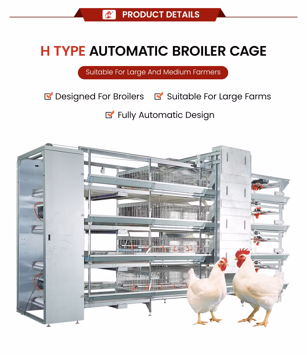 Bestchickencage China Vertical Chicken Coop Manufacturing H Frame Automatic Boriler Cages OEM Customized Hot Galvanized Surface Treatment Big Chicken Cage