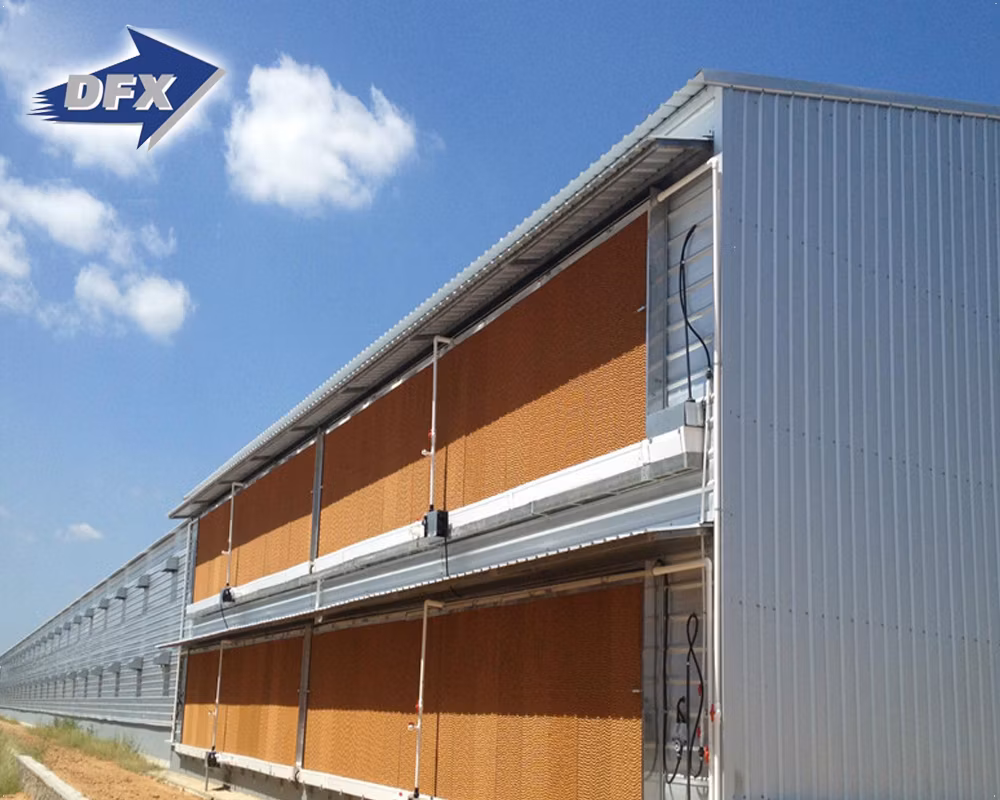 Prefab Steel Structure Chicken House Building Broiler Poultry Farm Shed