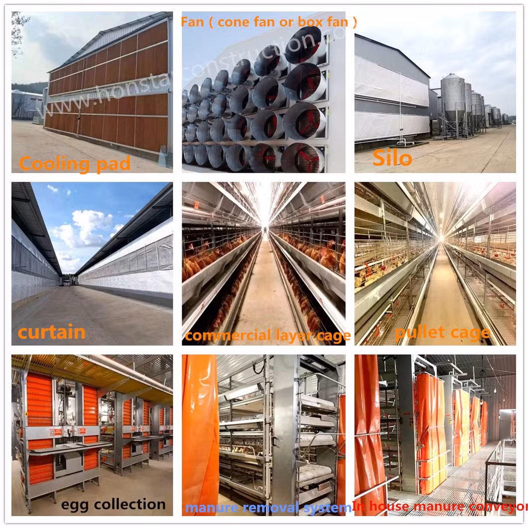 Prefabricated Engineering Building/Chicken House/Henhouse/Chicken Coop/Pheasantry /Layer Egg Chicken Cage Broiler Poultry Farm