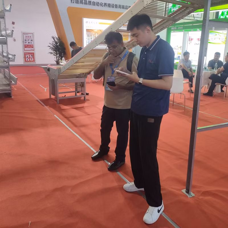Battery Chicken Cage, Automatic Intelligent Chicken House Farming Poultry Equipment