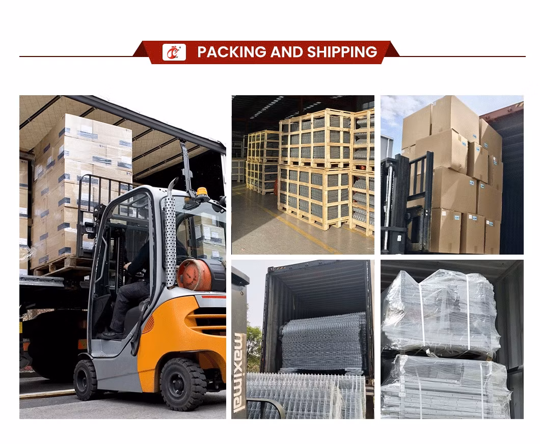 Bestchickencage Ordinary Type Layer Cage China Chicken Breeding Layer Cages Manufacturer ODM Custom Plenty Space Features Egg Laying Chicken Cage