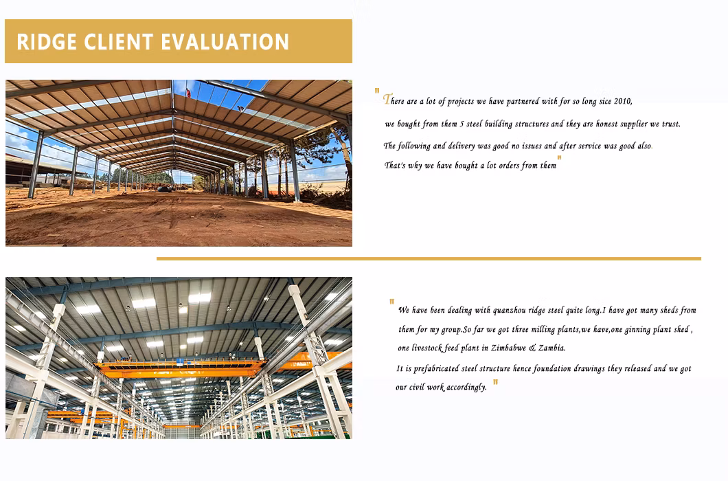 Best Manufacturer Automatic Free Range Backyard Chicken Livestock Farm