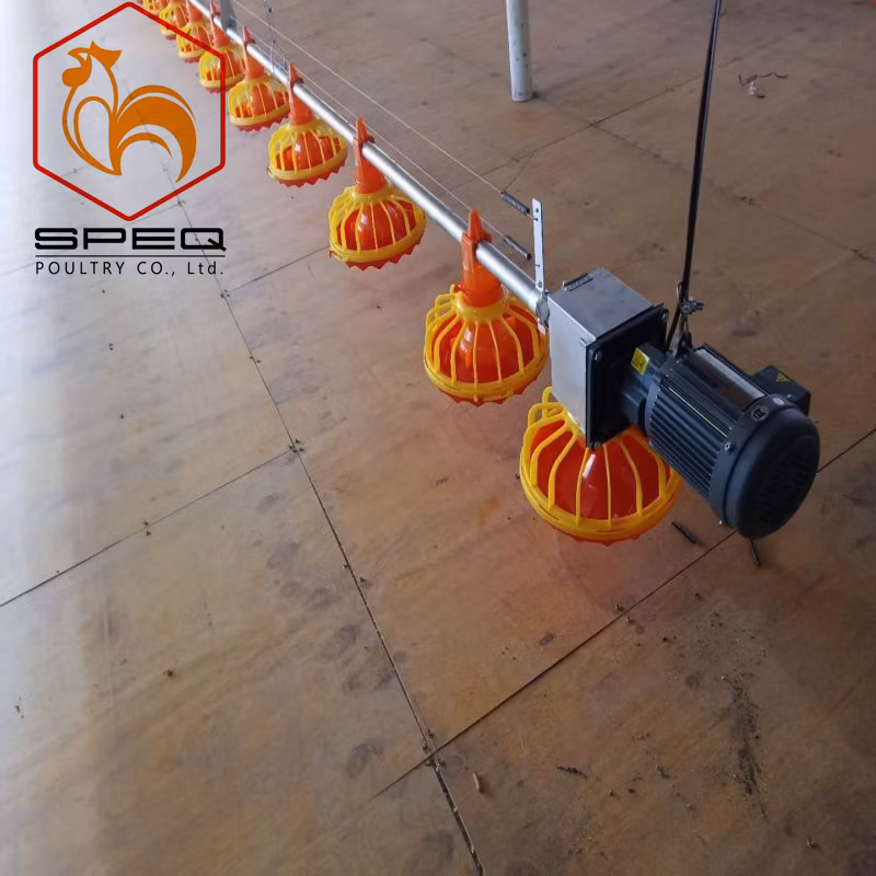 Good Quality Poultry Farming Equipment Feeding Pan System for Broiler