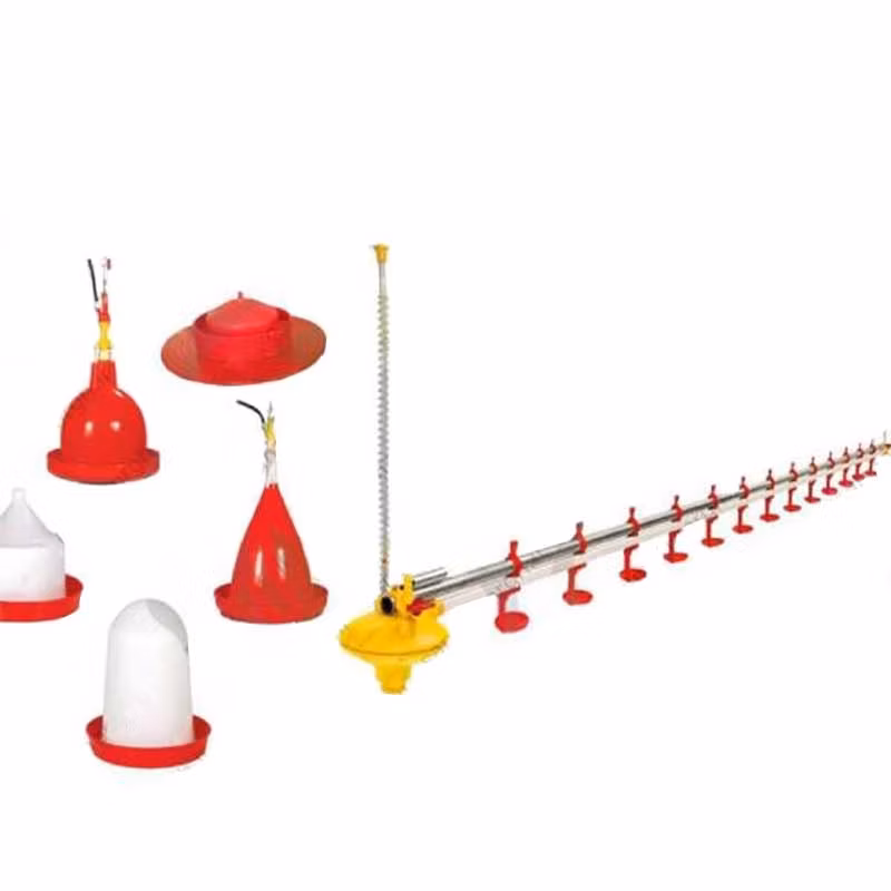 Good Price Broiler Chicken Automatic Feeding and Drinking System for Poultry Farm
