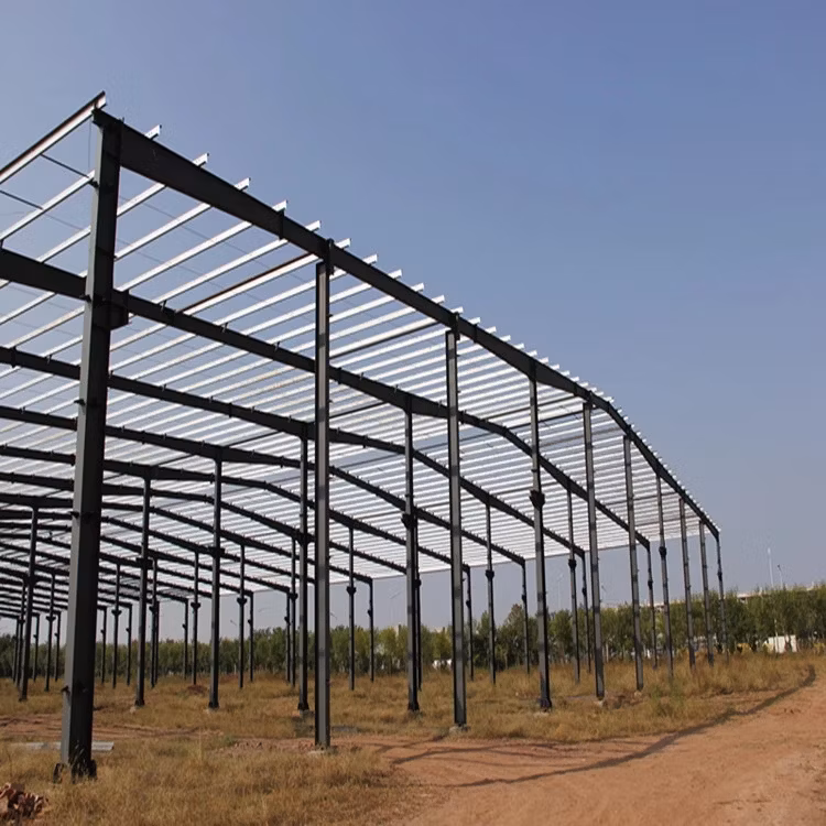 Best Manufacturer Automatic Free Range Backyard Chicken Livestock Farm