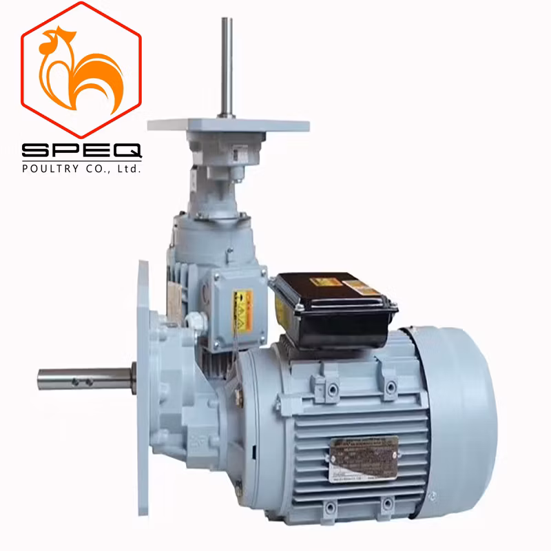 Good Quality Poultry Farming Equipment Feeding Pan System for Broiler