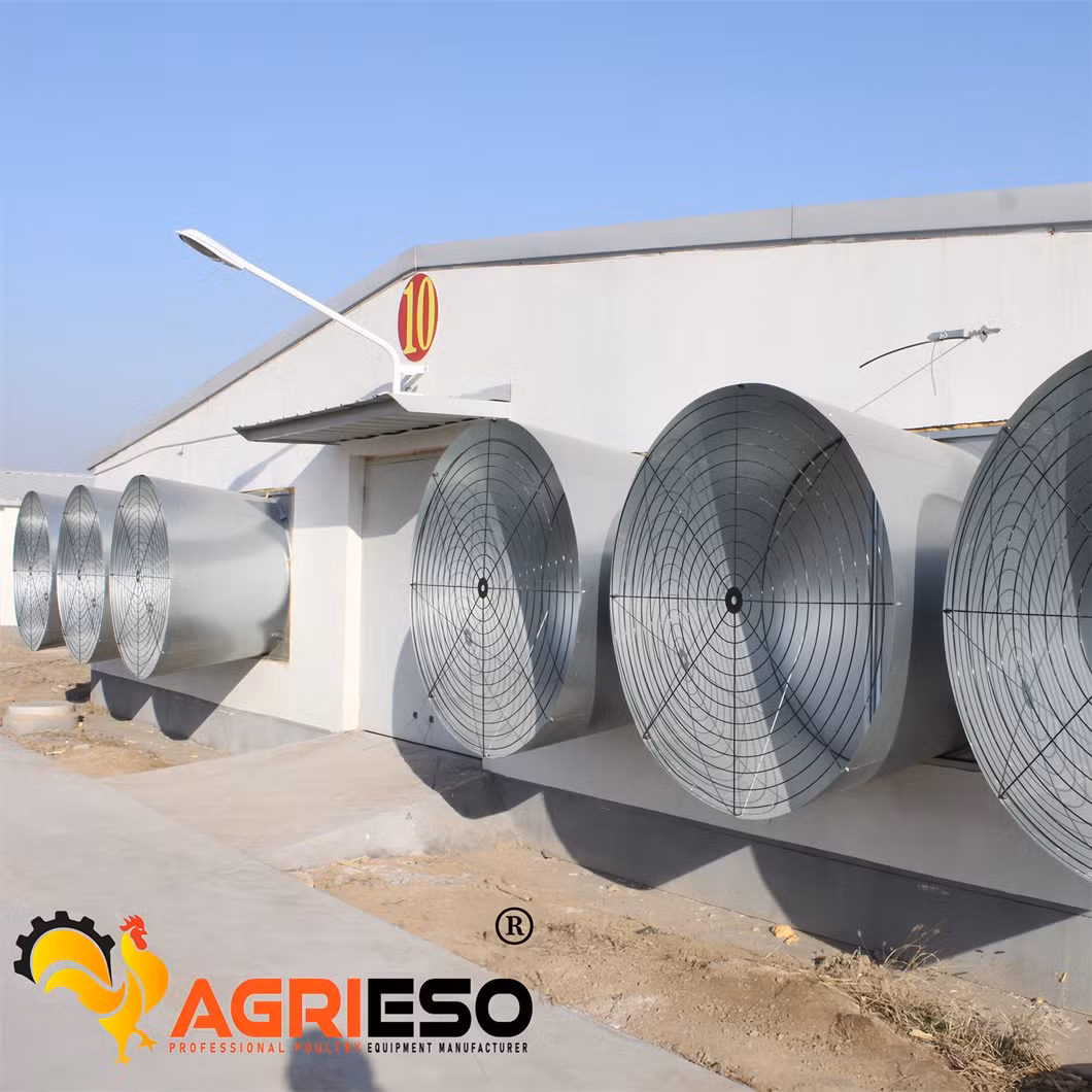 Agrieso Poultry Farm Equipment Broilers Automatic Feeding Line and Drinking Line Completer Feeding Equipment