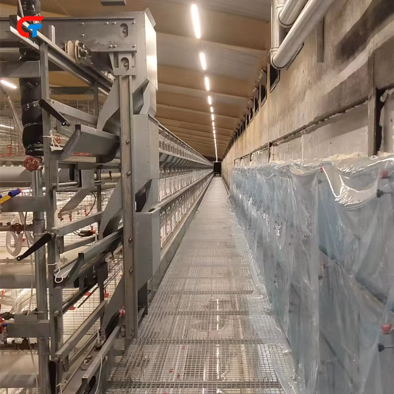 Battery Chicken Cage, Automatic Intelligent Chicken House Farming Poultry Equipment