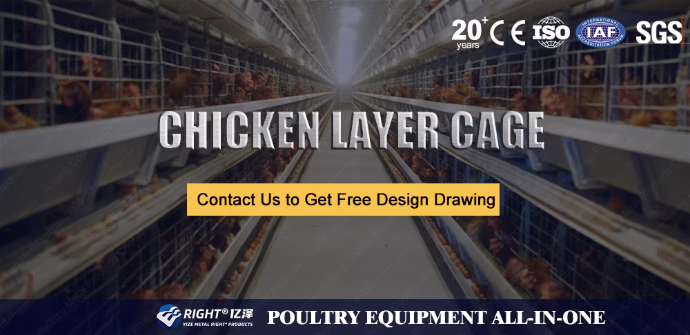 Poultry Layer Chicken Cages Coop Battery Walk Single Mesh Wire Door Enclosure