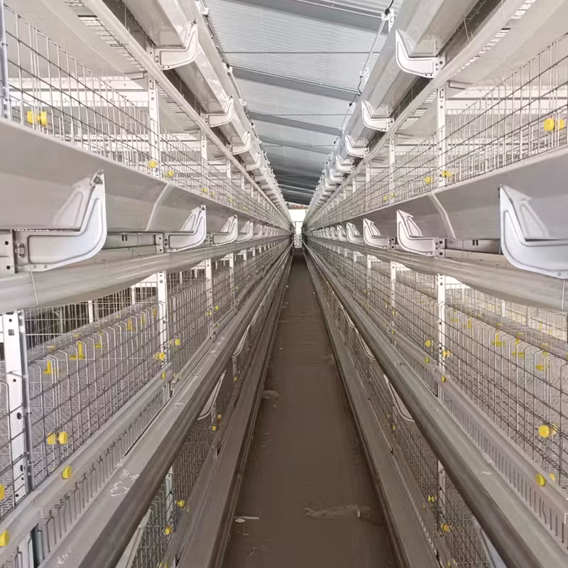 Customized Wholesale Galvanized Steel Wire Stainless Steel 3/4/5 Layer Chicken Duck Cage Farm Poultry Equipment