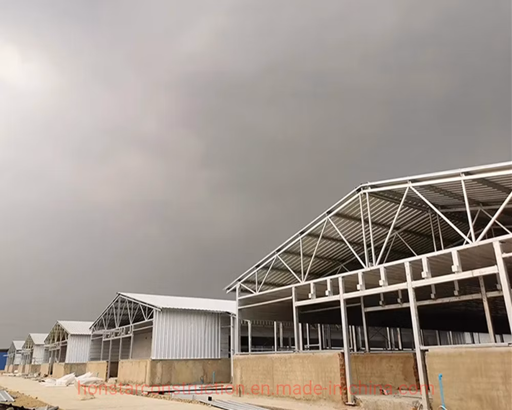 Prefabricated Engineering Building/Chicken House/Henhouse/Chicken Coop/Pheasantry /Layer Egg Chicken Cage Broiler Poultry Farm
