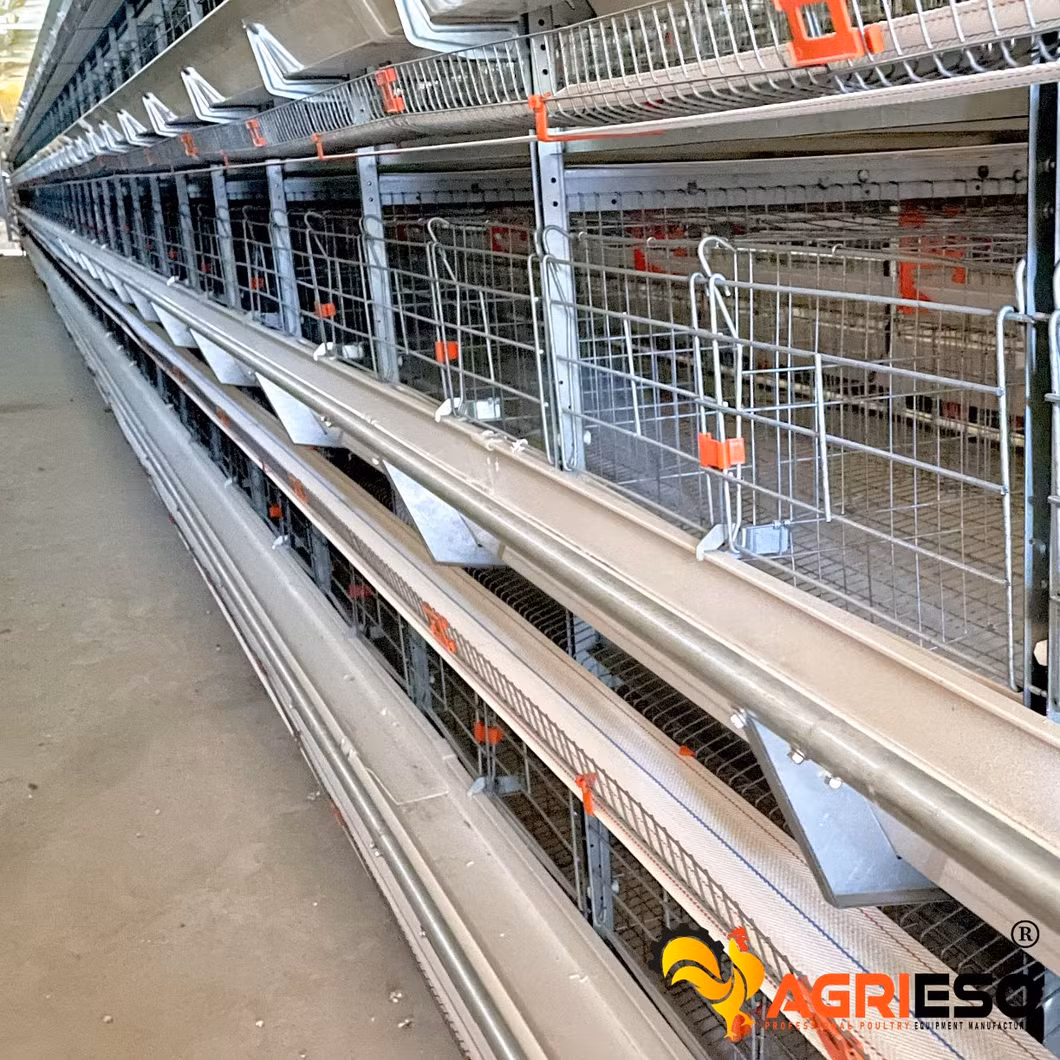Agrieso 3 Tiers Low Carbon Steel Wire Poultry Laying Hens Chicken Battery Cage with Nipple Drinker Feed Through and Manure Belt