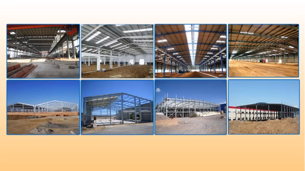 Prefabricated Steel Frame Construction Structure Poultry Farm Broiler Prefab Windproof Farm with Full Set Equipment for Chicken Factory